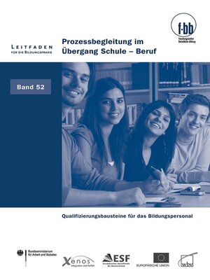 cover image of Prozessbegleitung im Übergang Schule--Beruf